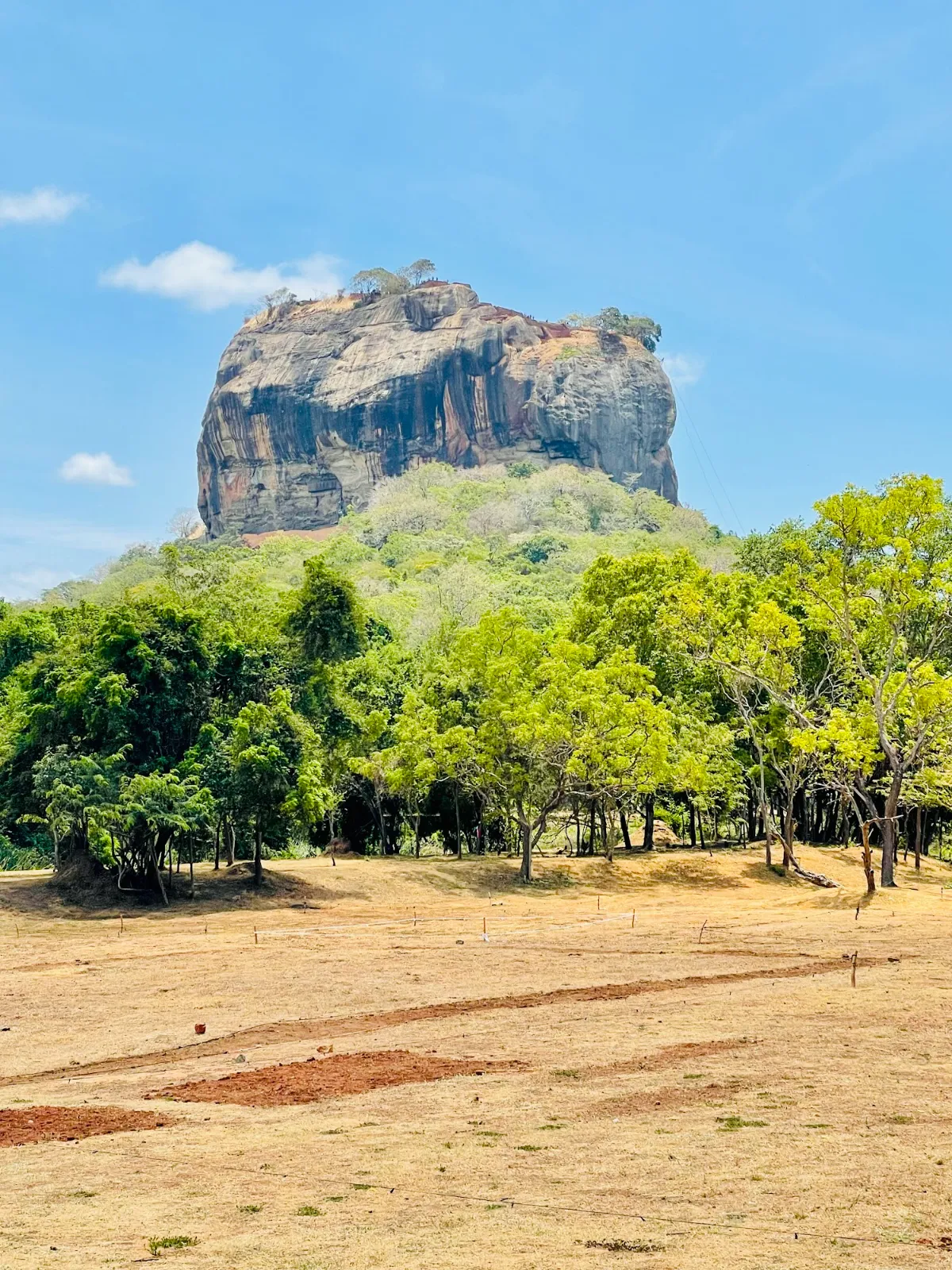 Sigiriya rock fortress rising above the trees under a blue sky in Sri Lanka