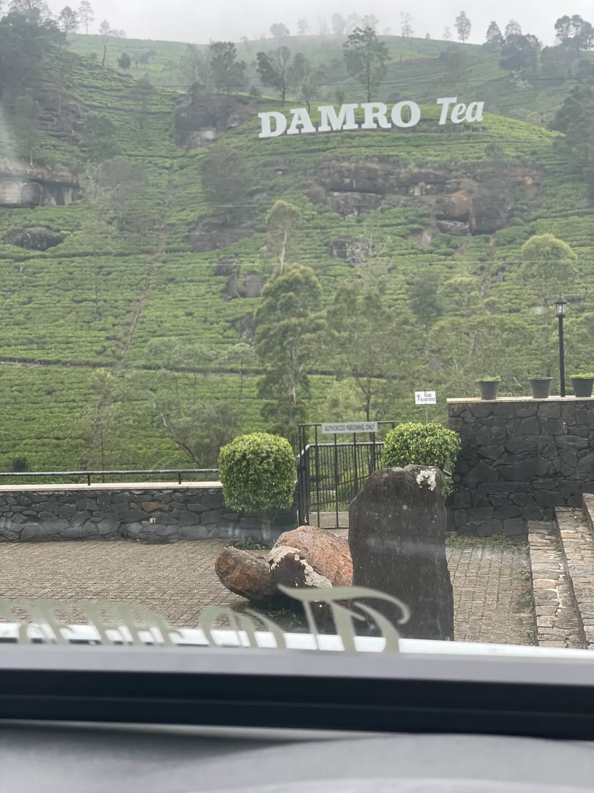 Steep green tea estates and a tea factory sign in the hills on the Nuwara Eliya road
